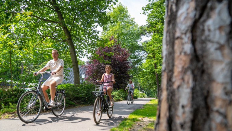 Fietsen - Landal Park de Peel