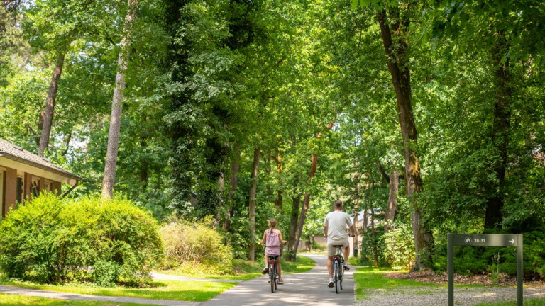 Fietsen - Landal Park de Peel