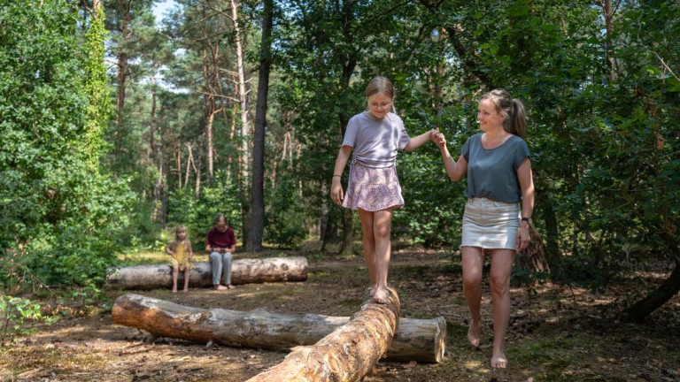 Bos - Landal Landgoed 't Loo