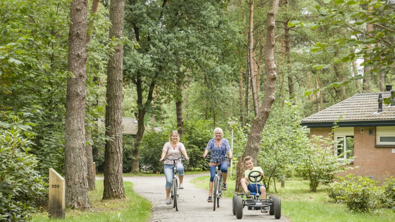 Fietsen - Landal Heideheuvel
