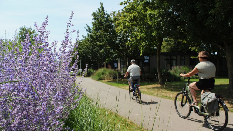 Fietsen - Maaspark de Lithse Ham
