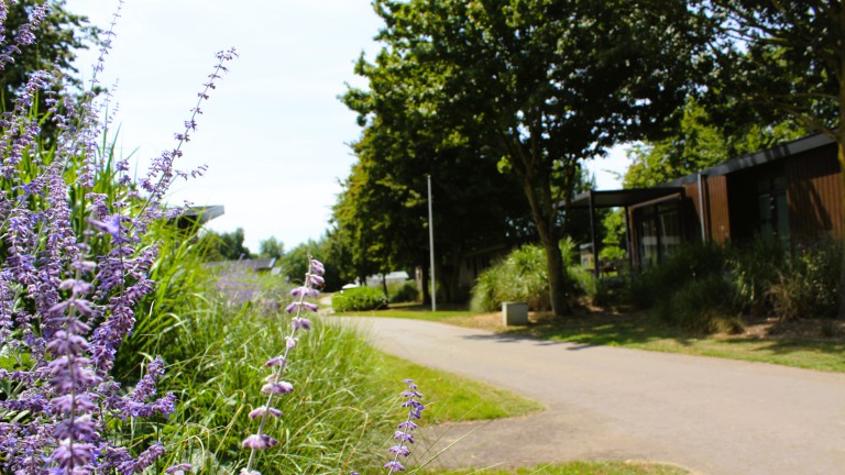 Maaspark de Lithse Ham