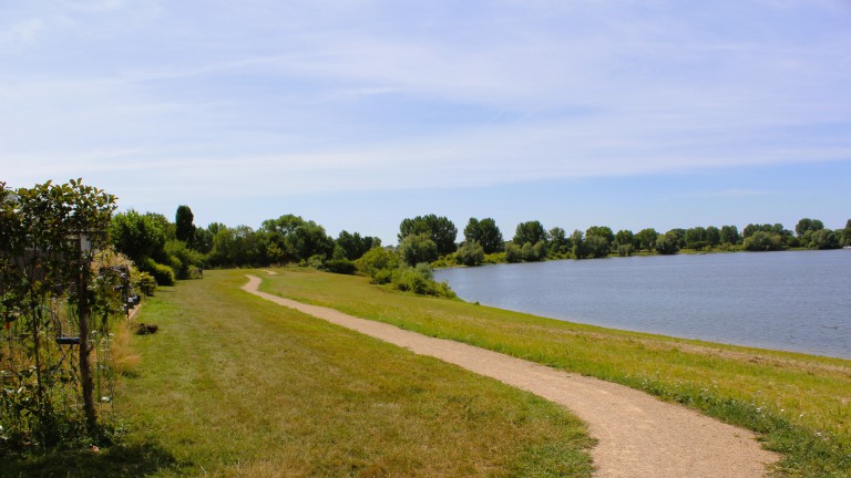 Aan het water - Maaspark de Lithse Ham