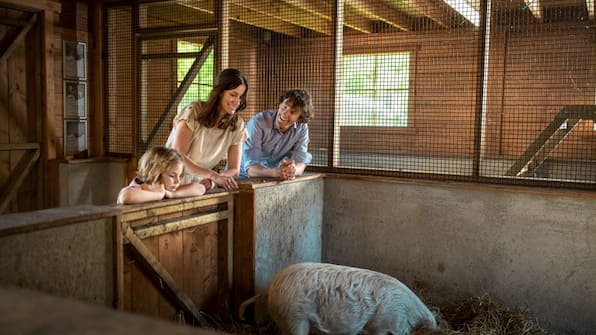 Kinderboerderij - Center Parcs Limburgse Peel Kinderboerderij - Center Parcs Limburgse Peel