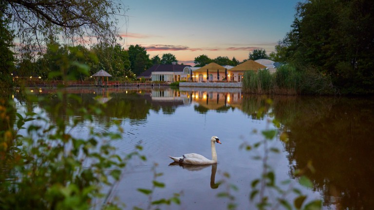 Vijver - Center Parcs Limburgse Peel