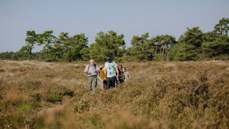 Omgeving - Center Parcs De Vossemeren