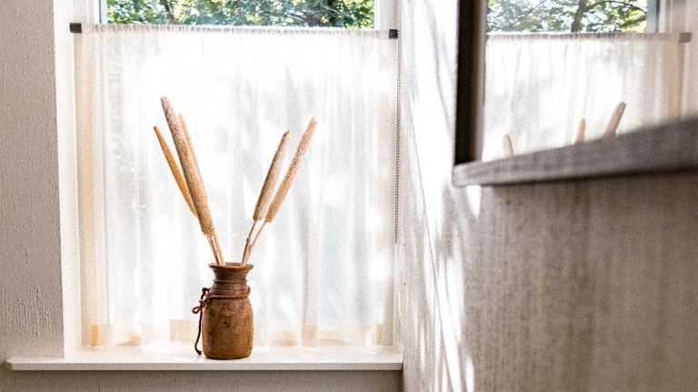 Cabin bos - De Wever Lodge