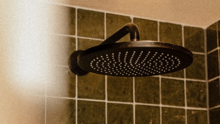 Comfort bos - De Wever Lodge