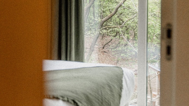 Cosy bos - De Wever Lodge