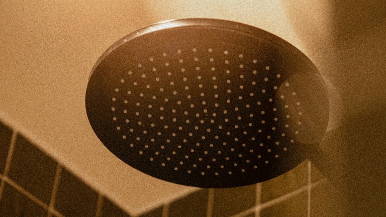 Cosy bos - De Wever Lodge