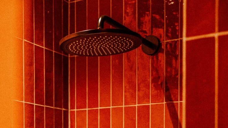 Cosy bos - De Wever Lodge