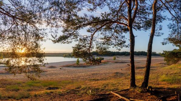 Omgeving - Center Parcs De Vossemeren Omgeving - Center Parcs De Vossemeren