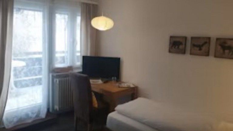 Eenpersoonskamer met balkon en bureau - Landgasthof Grüner Baum