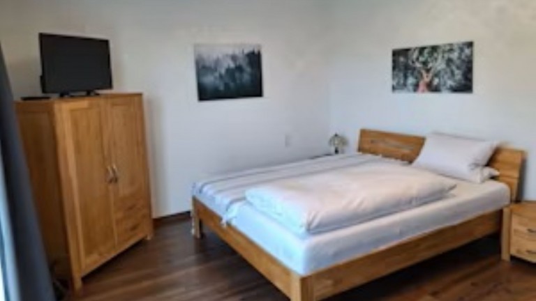 Grote eenpersoonskamer - Landgasthof Grüner Baum
