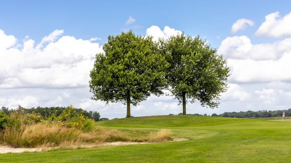 Omgeving - Esstra Hotel Erica