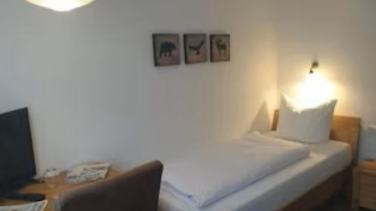 Eenpersoonskamer met balkon en bureau - Landgasthof Grüner Baum