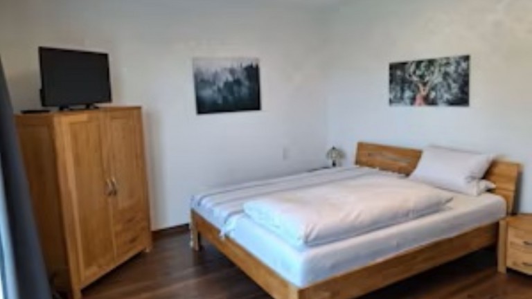 Grote eenpersoonskamer - Landgasthof Grüner Baum