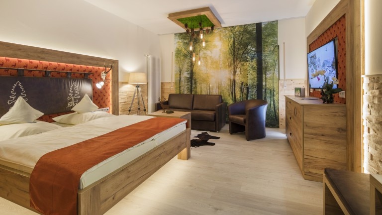 Superior kamer - Wellnesshotel Tanne