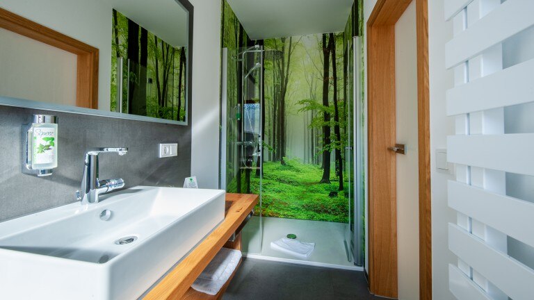 Standaard kamer - Hotel-Landgasthof Oberschnorrhof