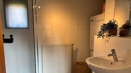 Badkamer - Bungalowpark Het Verscholen Dorp