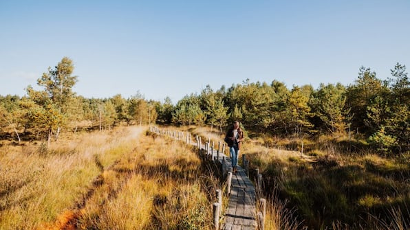 Omgeving - Vakantiepark De Wiltzangh