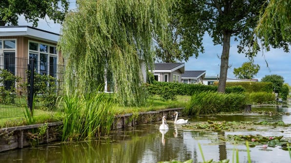 Sfeerimpressie - TopParken Park Westerkogge Sfeerimpressie - TopParken Park Westerkogge