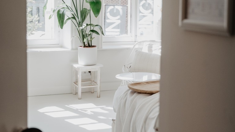 Suite - Mother Goose Hotel