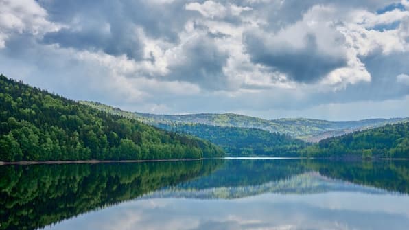 Omgeving - Landal Arber