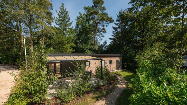 Bos Lodge - Veluwepark De Bosgraaf