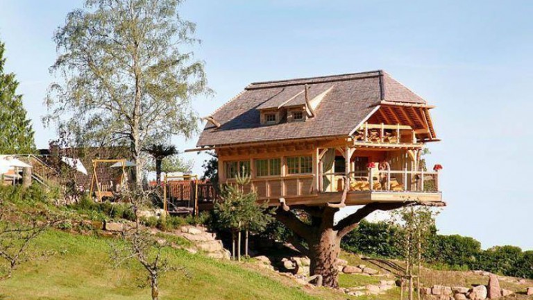 Boomhut sauna - Wellnesshotel Tanne