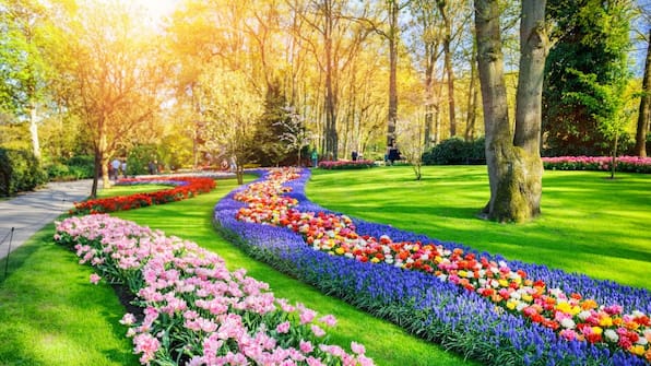 Keukenhof - Hotel Lowietje Lisse Keukenhof
