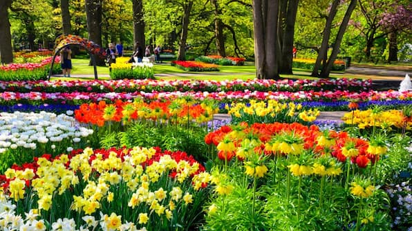 Keukenhof - Hotel Lowietje Lisse Keukenhof