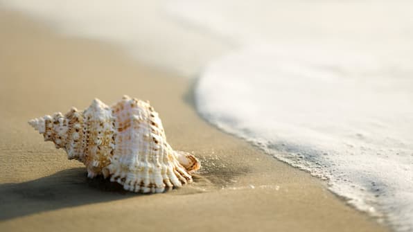 Strand - Hotel Bloemfontein