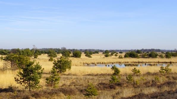 Strabrechtse Heide - Boutique Hotel Lytel Blue