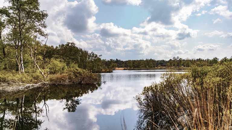 Omgeving - Park De Zeegser Duinen