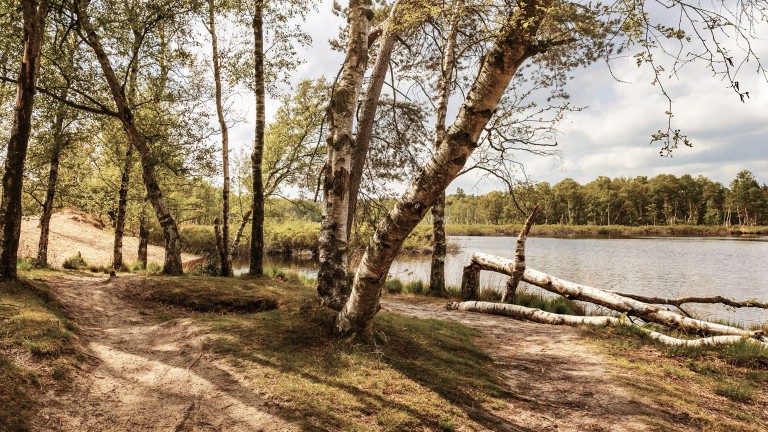 Omgeving - Park De Zeegser Duinen
