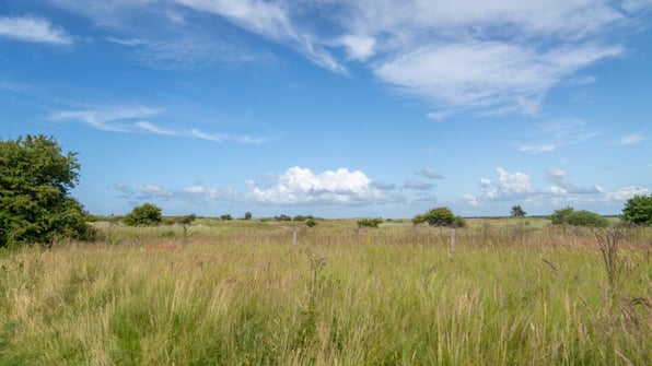 Omgeving - Roompot Vakantiepark Boomhiemke Omgeving - Roompot Vakantiepark Boomhiemke