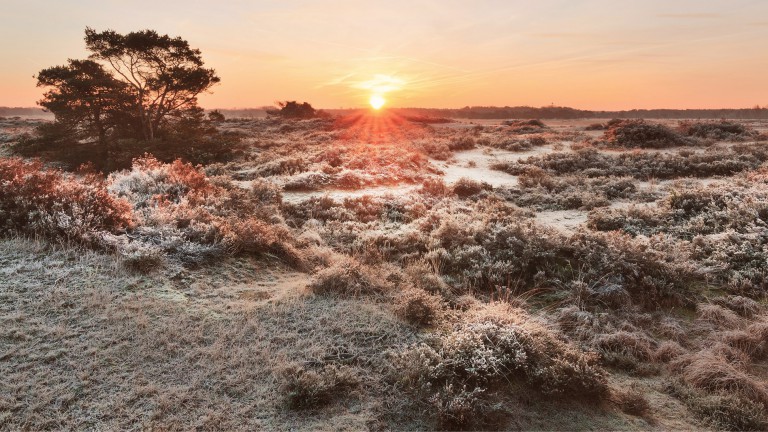 Omgeving - Suitelodges Gooilanden