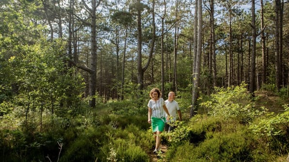 Omgeving - Landal Schuttersbos Omgeving - Landal Schuttersbos