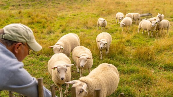 Omgeving - Roompot Beach Resort Brouwersdam Omgeving - Roompot Beach Resort Brouwersdam