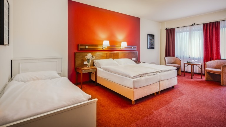 Driepersoonskamer - Sauerland Alpin