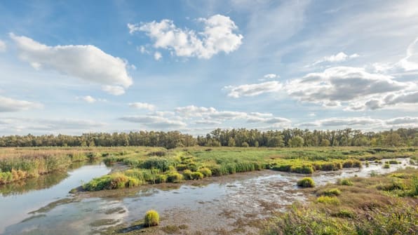 Nationaal Park de Biesbosch- Stadshotel Geertruidenberg