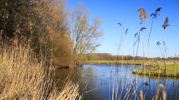 Nationaal Park de Biesbosch- Stadshotel Geertruidenberg