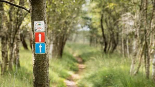 Omgeving - Hotel Nickisch