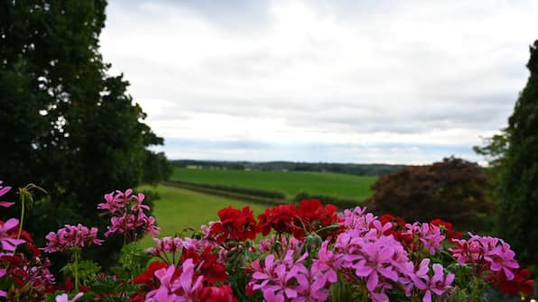 Omgeving - Hotel de Plank