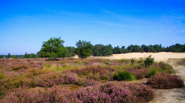 Omgeving - Hotel Emilia Omgeving - Hotel Emilia