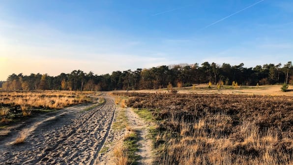 Omgeving - Hotel Emilia Omgeving - Hotel Emilia