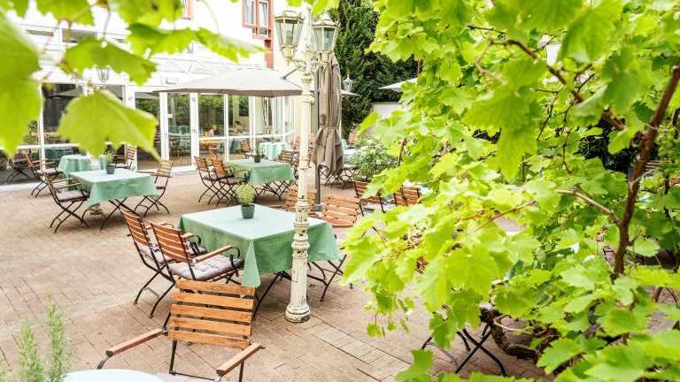 Terras - ACHAT Hotel Neustadt an der Weinstraße