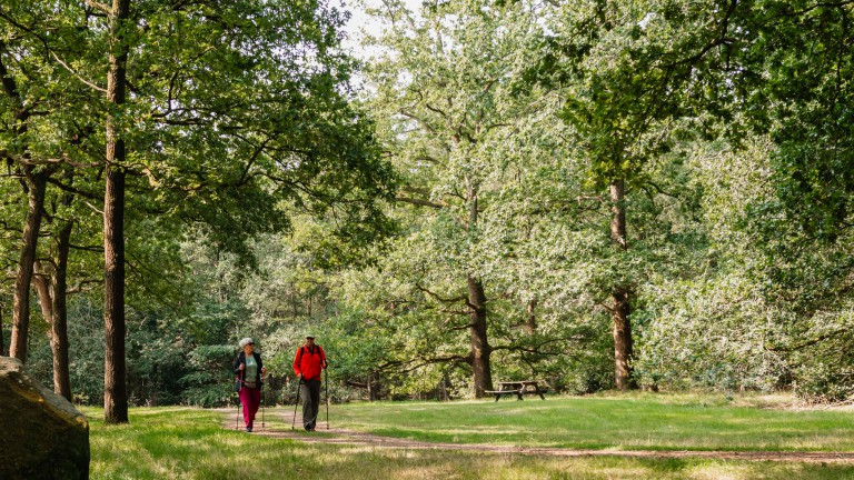 Omgeving - Villapark De Hondsrug