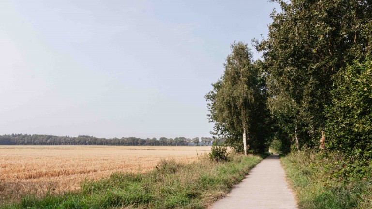 Omgeving - Villapark De Hondsrug